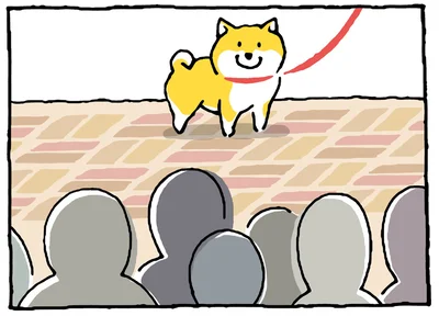 散歩中に路上ライブを見かけた柴犬の行動