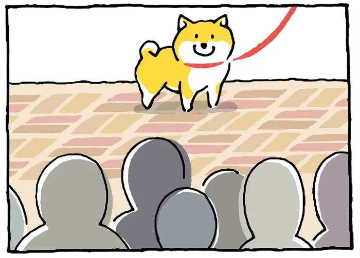 応援してるの？ 散歩中に路上ライブを見かけた柴犬の行動／しばんばん2（12）