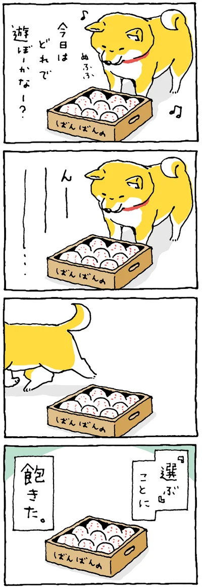 どれにしよーかな？
