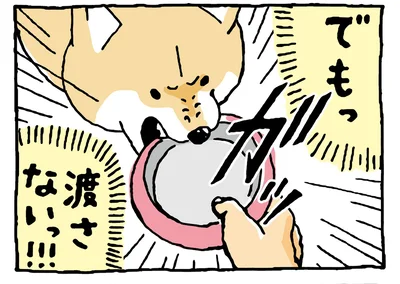 「マイボウルは渡さないっ!!!」