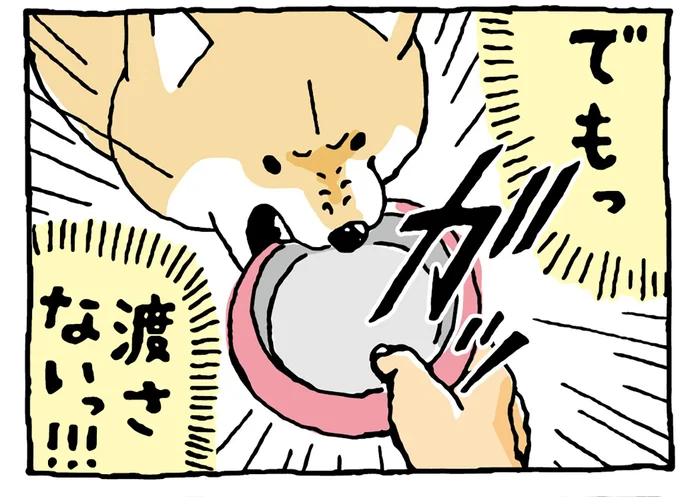 「マイボウルは渡さないっ!!!」執着心がスゴイ柴犬／しばんばん2（14）
