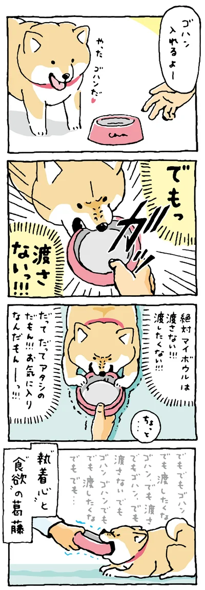でもでも