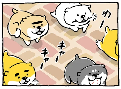 全柴犬が憧れる!? 「スーパーエリザベス」とは？