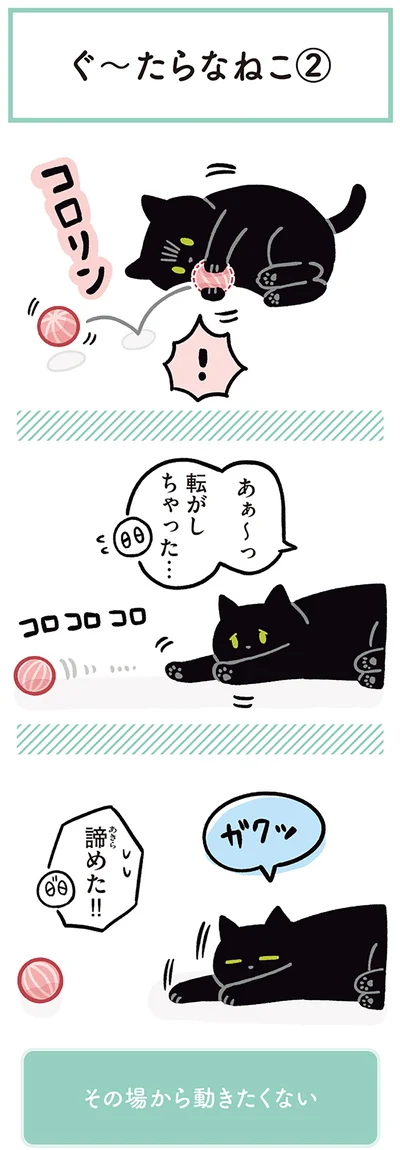 諦めた！！