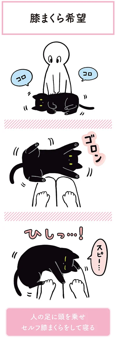 『黒猫ろんと暮らしたら２』より