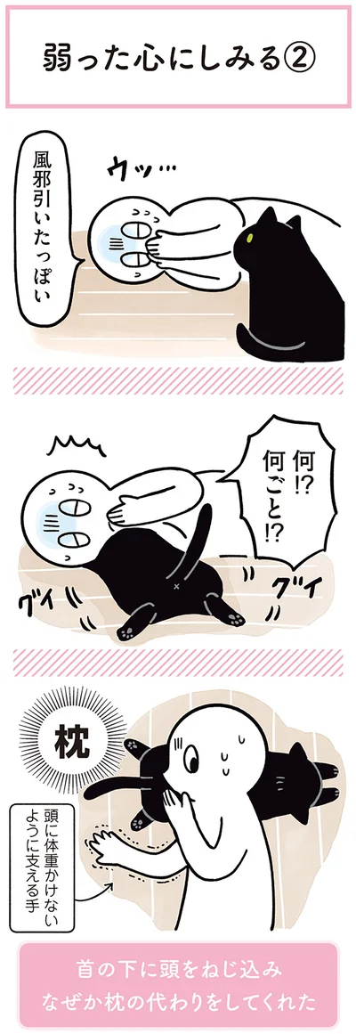 『黒猫ろんと暮らしたら２』より