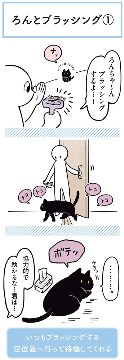 『黒猫ろんと暮らしたら２』より