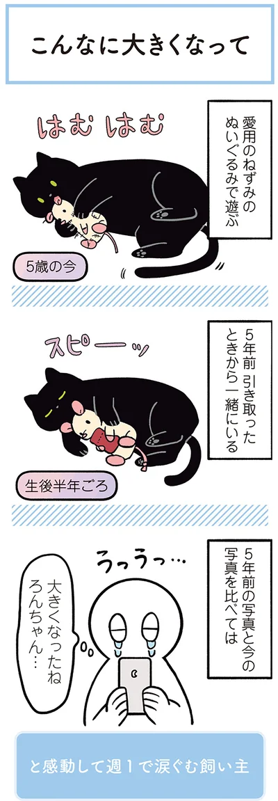 『黒猫ろんと暮らしたら２』より