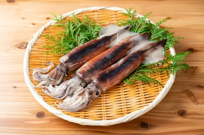 もっちり食感とねっとりした甘みが魅力！ 山形県のスルメイカ【時短レシピつき】