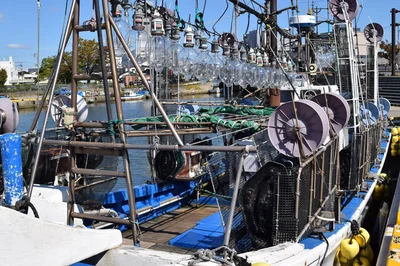 イカを集めるための集魚灯を積んだイカ釣り漁船