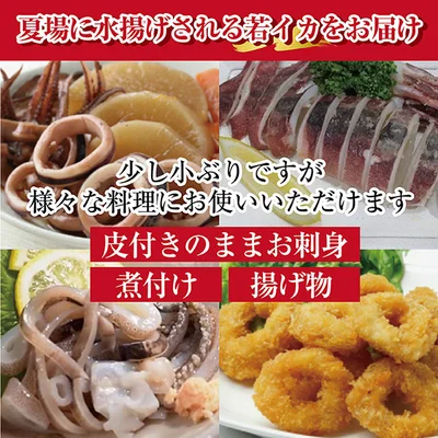 スルメイカの楽しみ方はいろいろ！