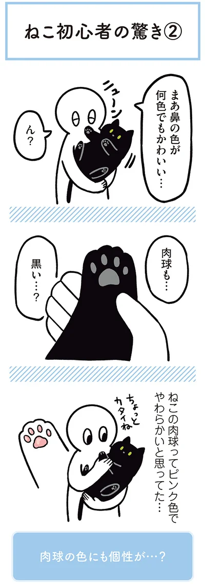 肉球も…黒い…？