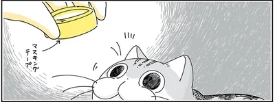 マスキングテープを…