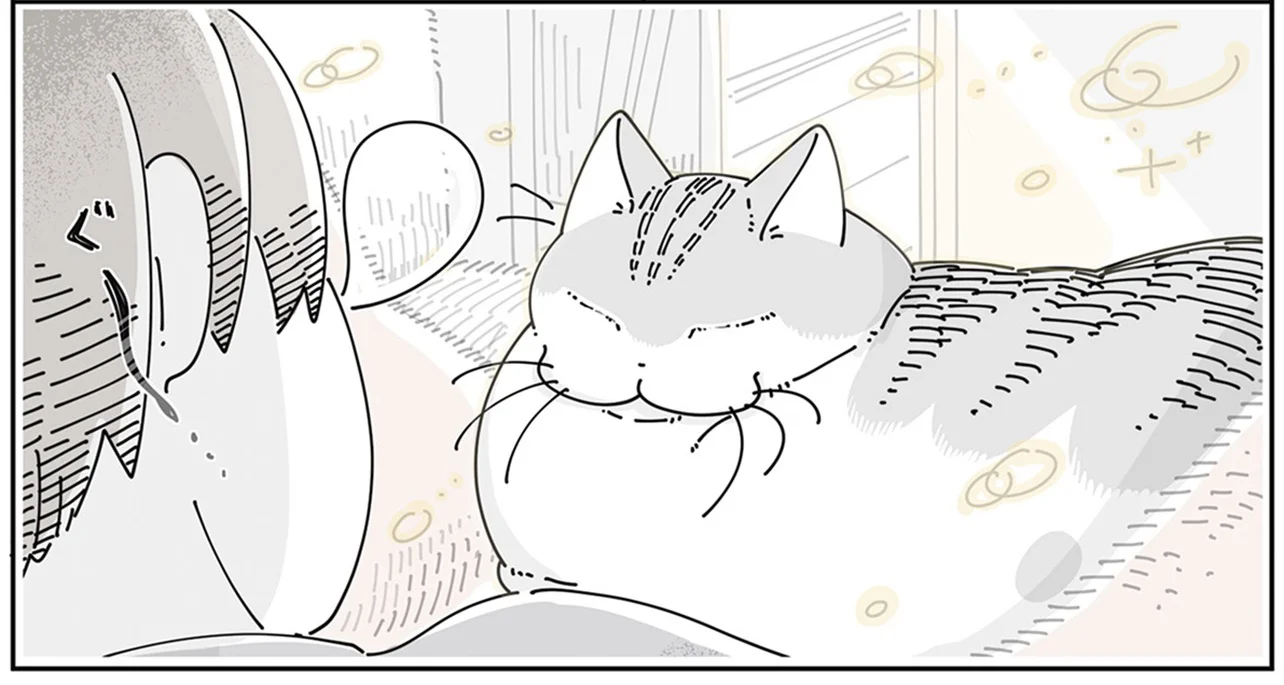 起きなきゃいけないのに！ 横で眠る猫の姿に二度寝不可避です／夜は猫