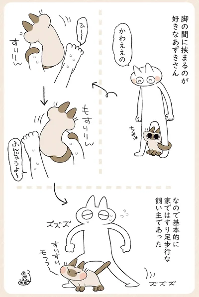 家ではすり足歩行