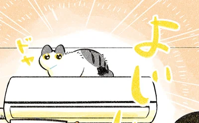 ドヤ