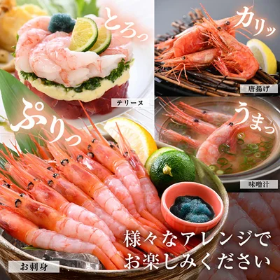 鮮度抜群の甘えびはお刺身でもみそ汁でもおいしい！