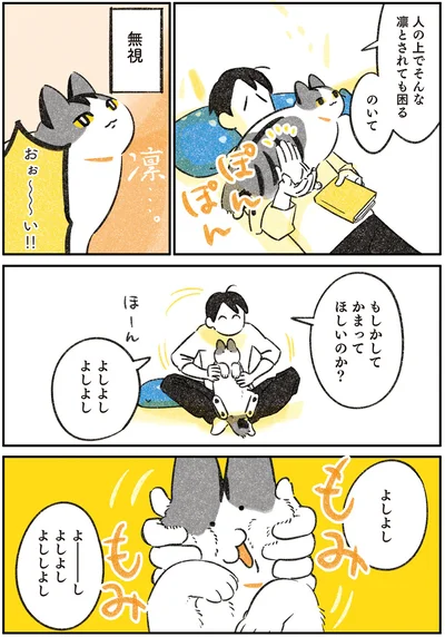 よしよしよしよし