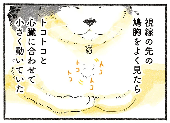 トコトコ