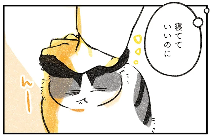 寝てていいのに