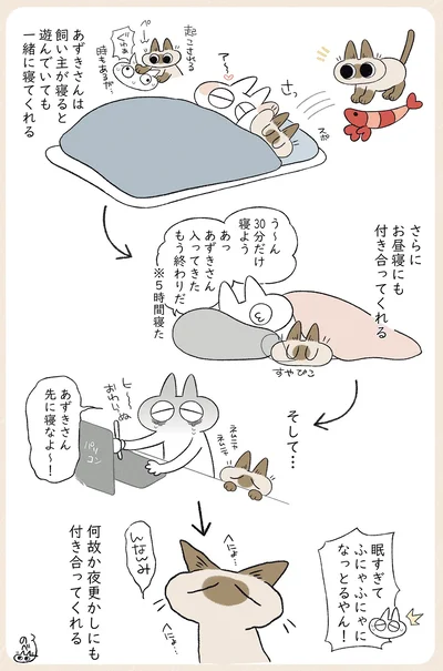 夜更かしにも付き合ってくれる
