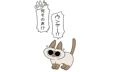 独特な鳴き声