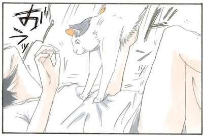 お腹の上にダイブ！