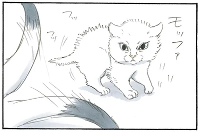 威嚇している姿もかわいい