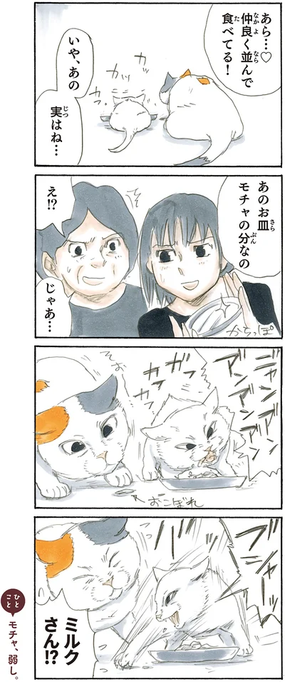 大食いミルク