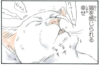 猫を感じられる幸せ