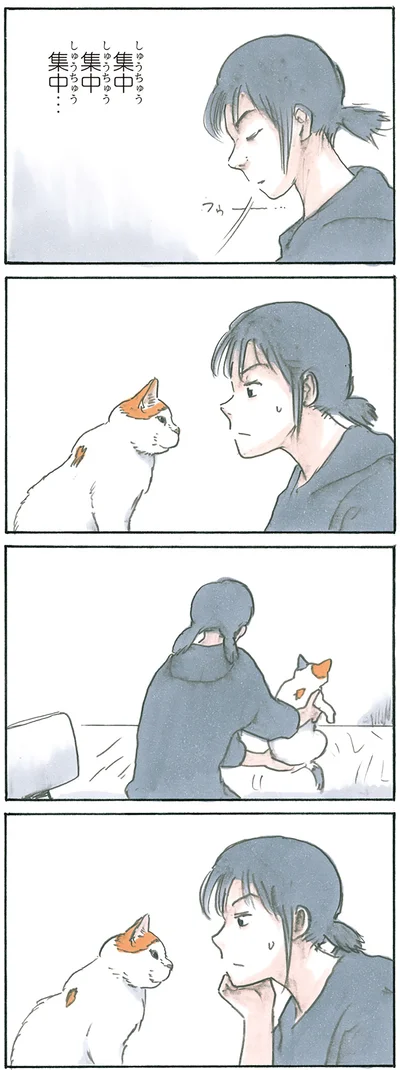集中集中集中