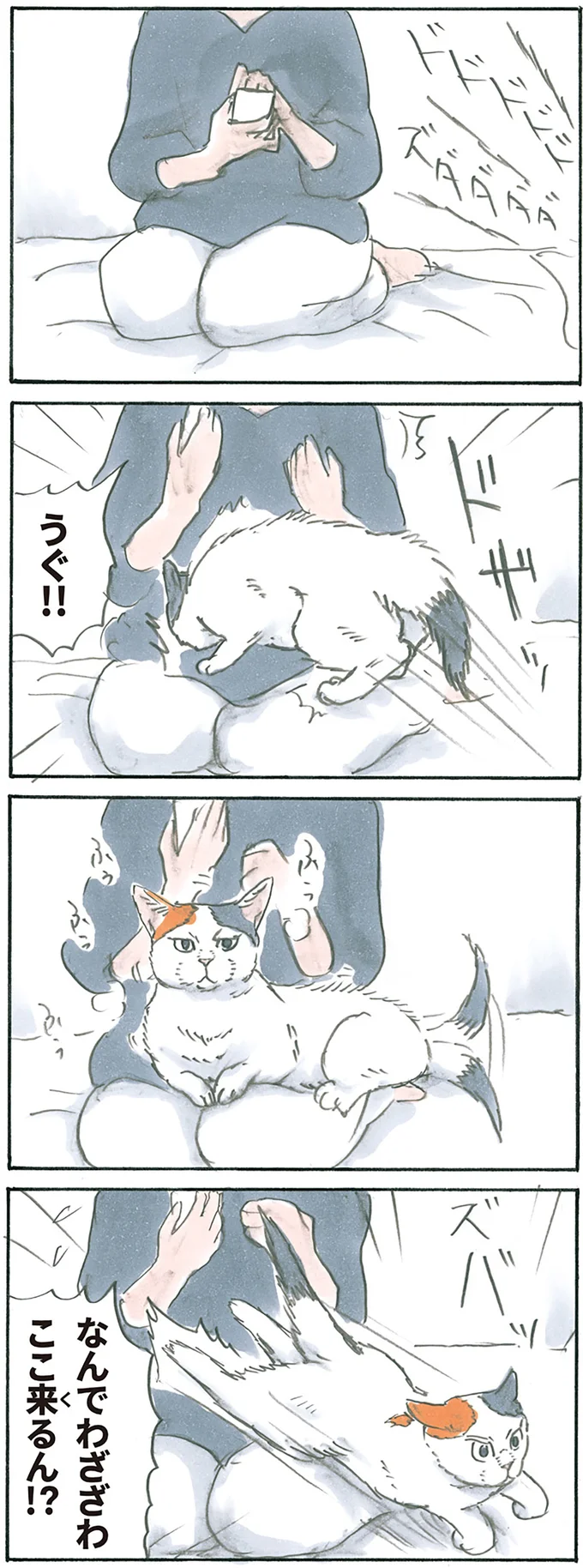 インターバル