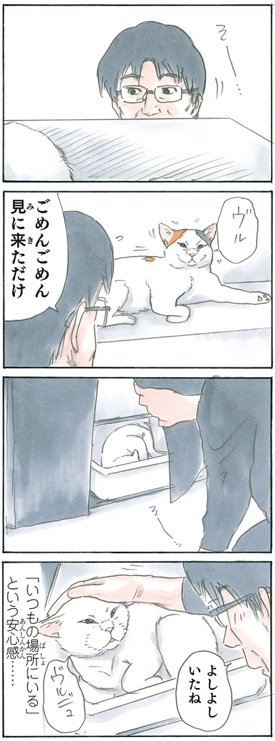 いつもの場所