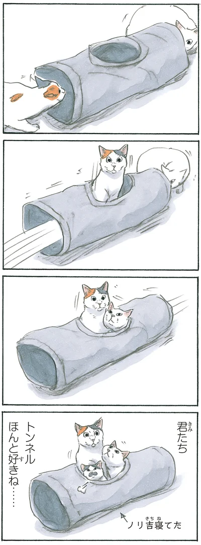 トンネル大好き