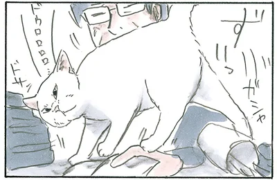 ちょっと失礼しますよ