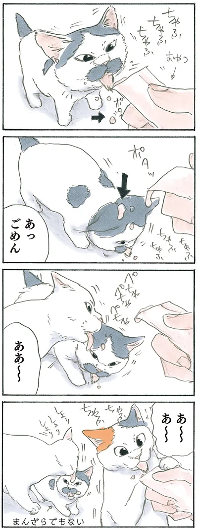 あーあ
