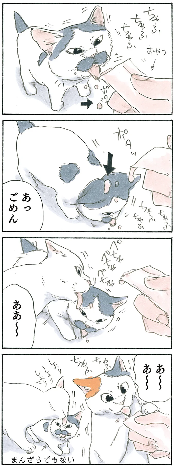 あーあ