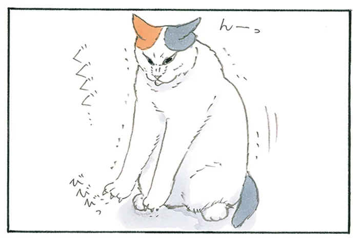 ふとした瞬間のちょい伸びが愛らしい！ 飼い主が好きな愛猫の動作／拾い猫のモチャ8（1）