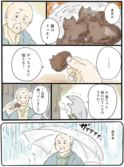 猫のクッキー