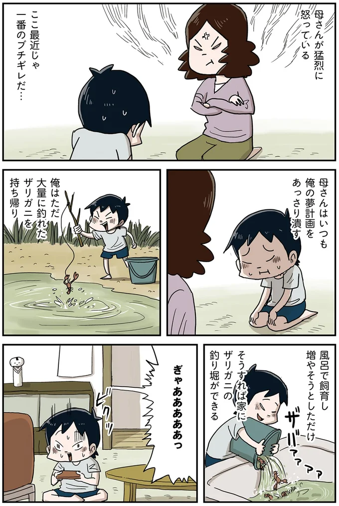 母さんはいつも俺の夢計画をあっさり潰す