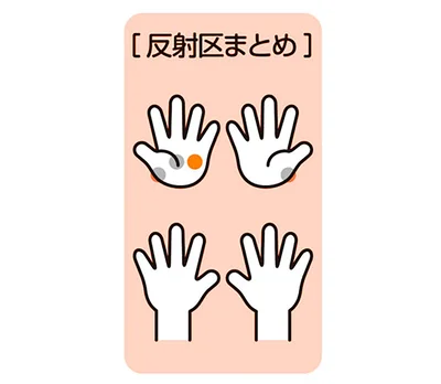 反射区まとめ