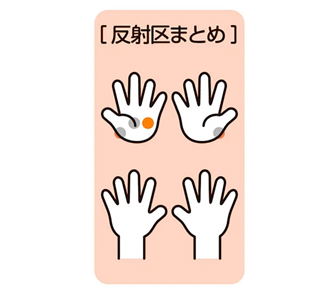 反射区まとめ