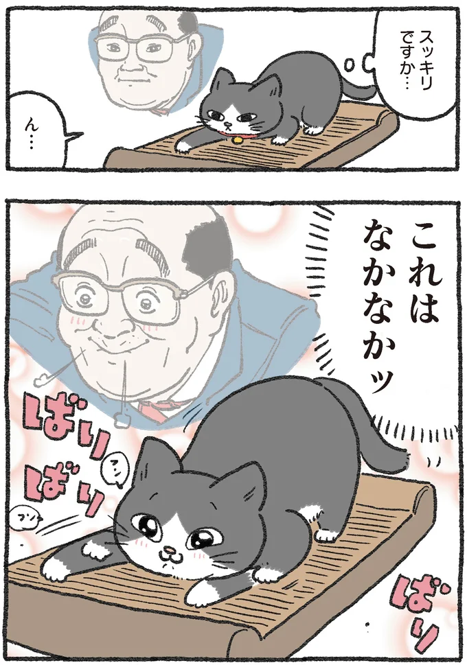 『ねこに転生したおじさん 2』より
