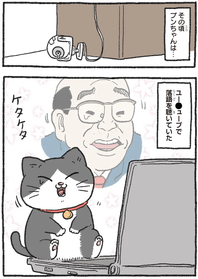 『ねこに転生したおじさん 2』より