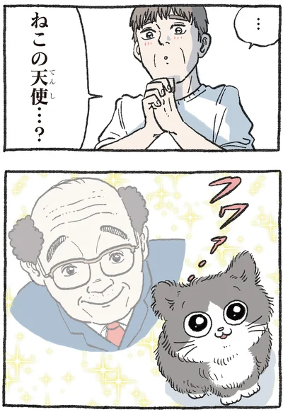 ねこの天使…？