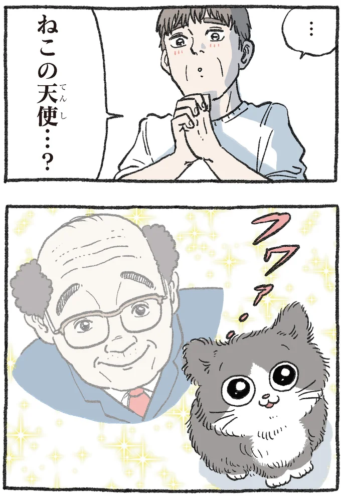 ねこの天使…？