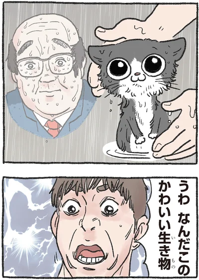 かわいい生き物