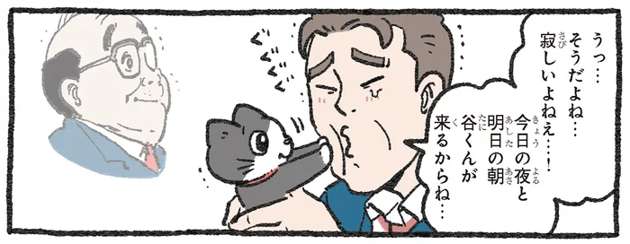 出張で会えないなんて寂しすぎ！ 半泣きの飼い主と愛猫のハンパない温度差／ねこに転生したおじさん2（6）