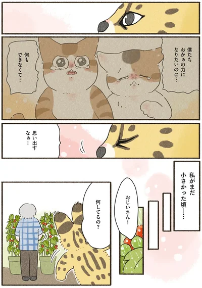 『いちばんやさしいおうち食養生 疲れた日の漢方ごはん』より