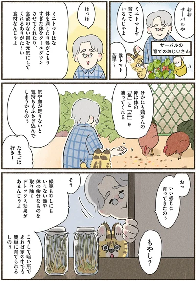 『いちばんやさしいおうち食養生 疲れた日の漢方ごはん』より